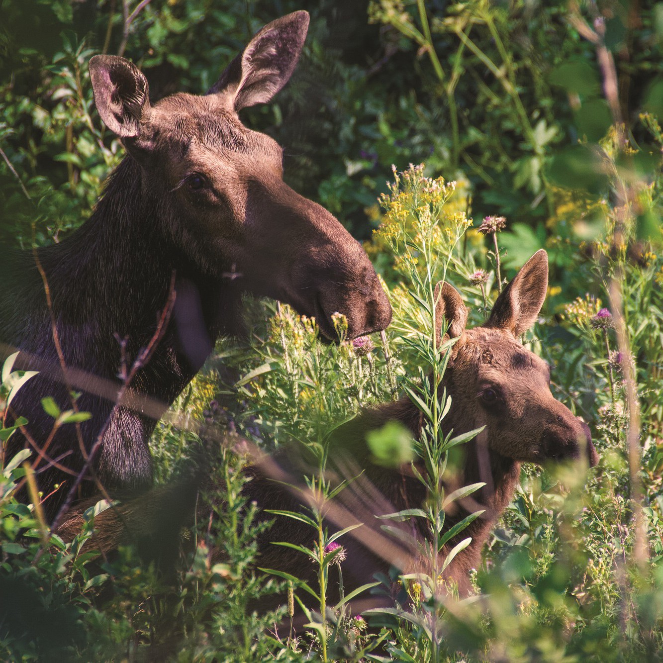 Инфраструктура 2 - Слайд 3