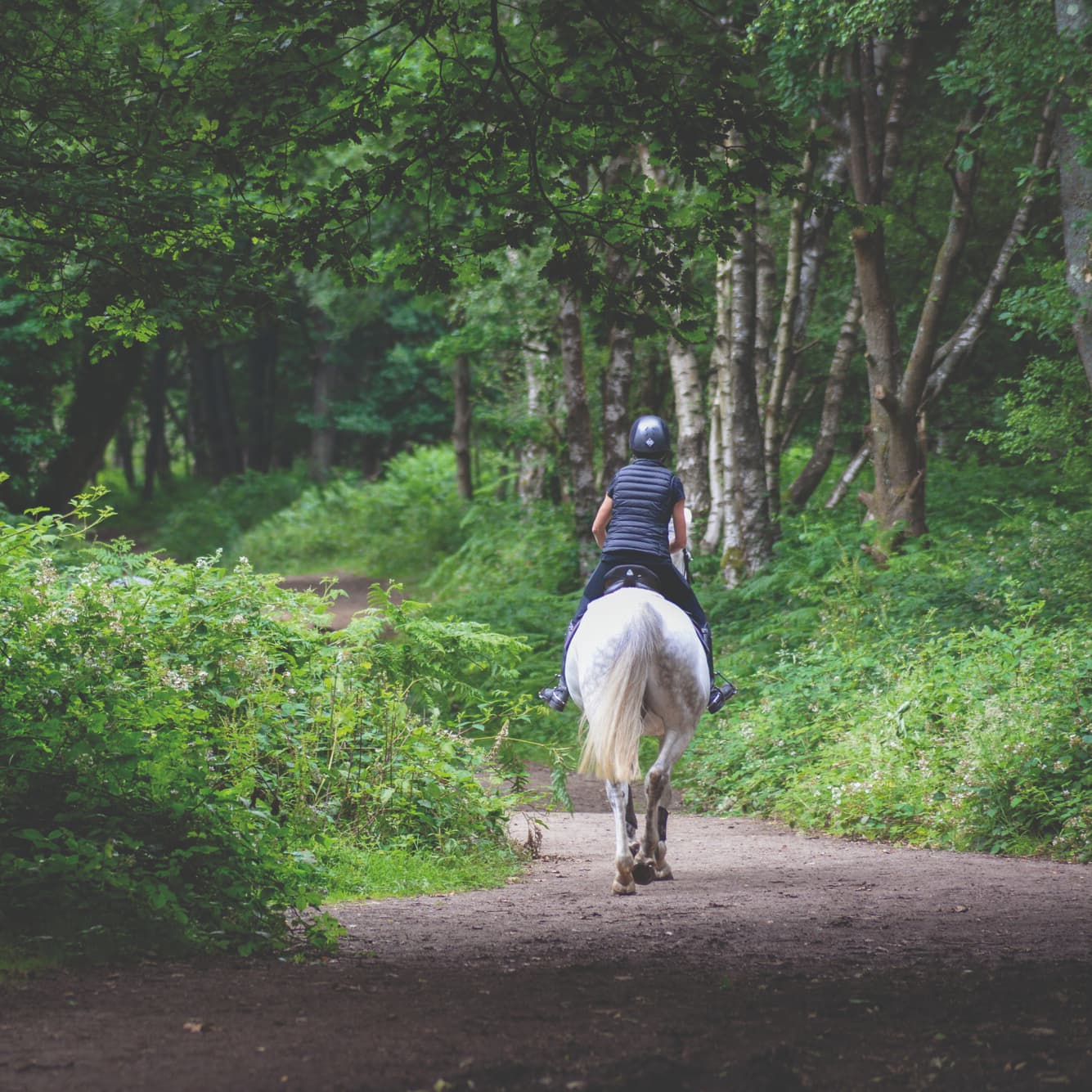 Инфраструктура 2 - Слайд 2