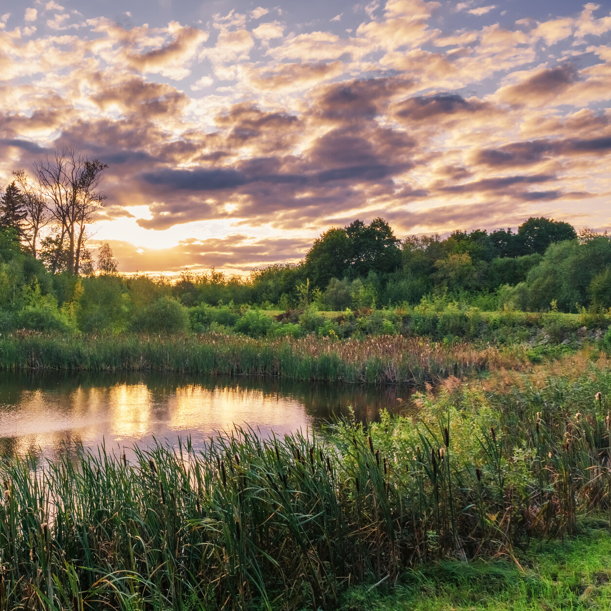 Парк &quot;Яуза&quot;